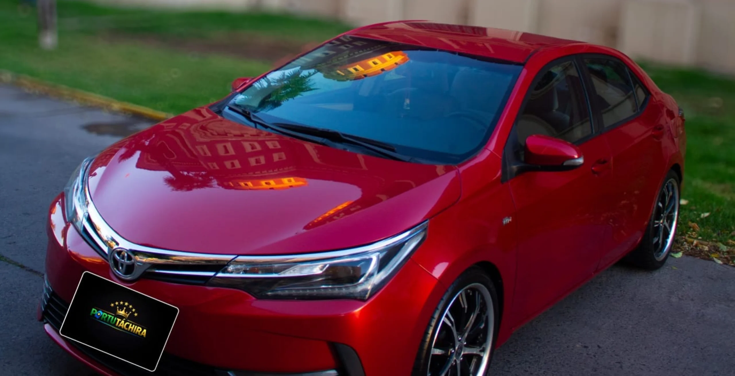 whatsapp_image_2026_02_23_at_11_26_23_am_1_2x